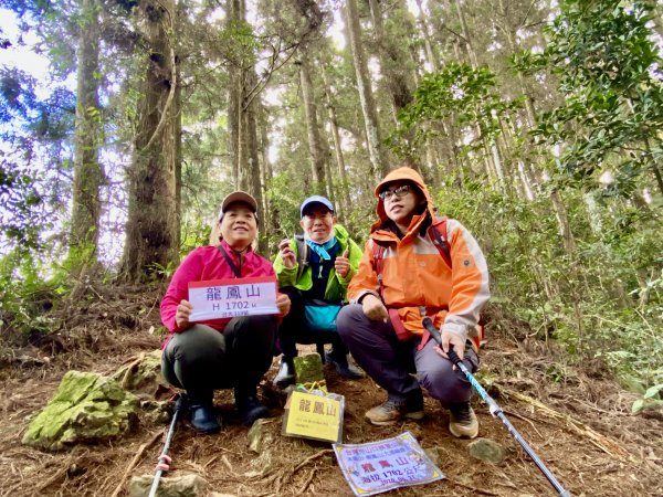 龍鳳、龍鳳峽、三叉崙、內樹皮、水桶寮、羊頭崙、志騰、竹崙、溪頭山九連峰縱走  2022/1/11570364