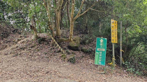 暗影山三進三出2366575