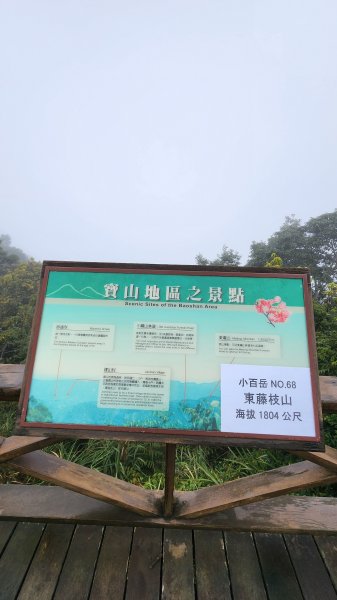 111/12/18藤枝森林園區東藤枝山、藤枝山1979556