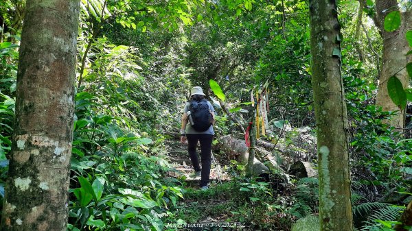 《新竹》沒那簡單｜關西赤柯山東獅頭山步道O繞202506152813512