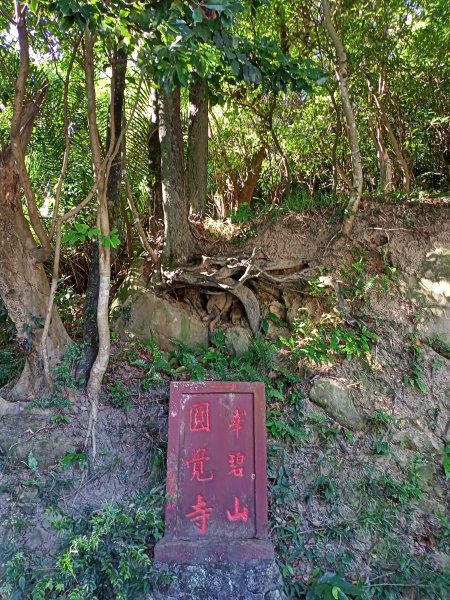 【臺北大縱走 4】山青水明的圓覺寺步道 →鯉魚山小人國步道1425125