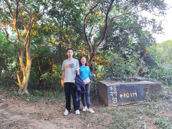 【臺北大縱走 5】碧山巖→忠勇山越嶺步道→金龍產業道路→圓明寺步道→鄭成功廟→潛園→格物台→劍潭古寺2959013