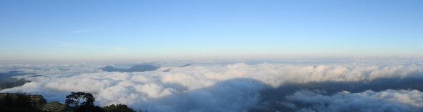 最高小百岳-大塔山2663M&阿里山二延平步道1775011