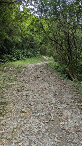 113.06.22坪溪古道-石坑山之旅2533767