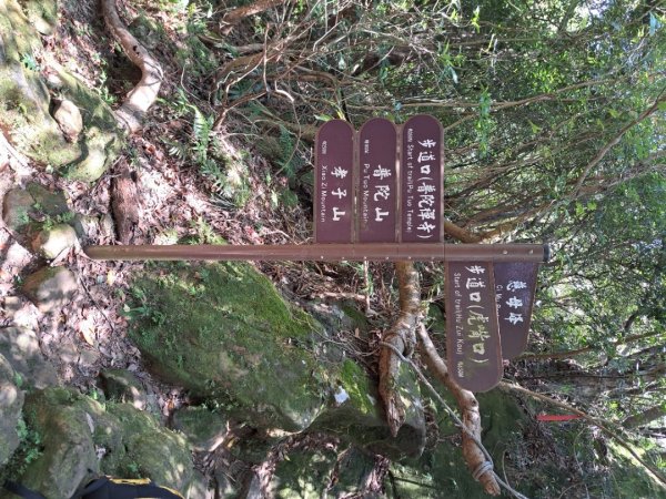 2026微笑山線平溪小黃山段3103442