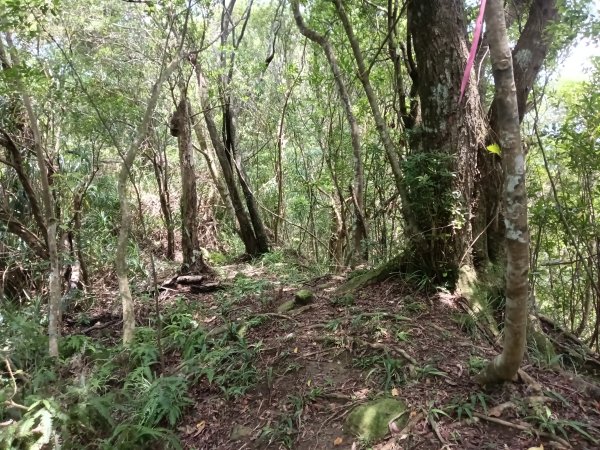平溪區平溪子山遇雷雨O型2850121