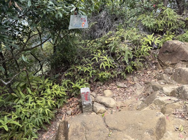 [微笑山線_第四段] 2026_0321 天上山系_石門內尖山3022056