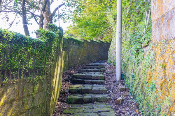 [台北]紗帽山2956583