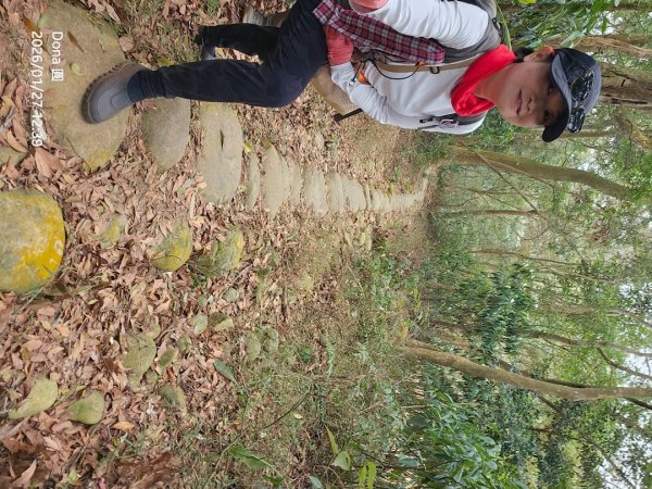 20260127三通嶺山.三義山(大桁茂山).慈濟山.大坪山大O走2989949