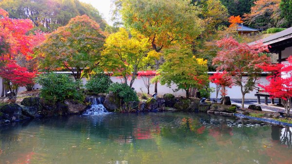 岩手縣藤原之鄉2930103