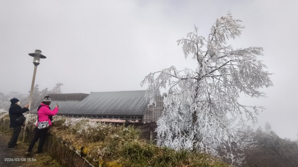 #霧淞 #雲海 #雲瀑 #霧虹 #太平山 #望洋山 #觀雲步道 #翠峰道路  2/82995374