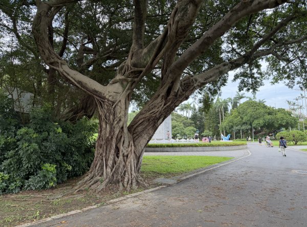 [2026臺北健走趣-06/50] 2026_0712_青年公園3098544