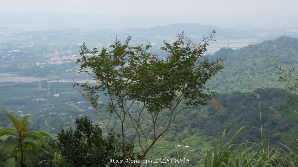 《南投》峰峰相連｜草屯九九峰森林步道O型202509062879307