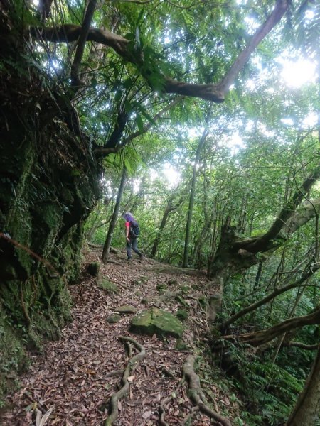 菁桐古道、耳空龜山1896718