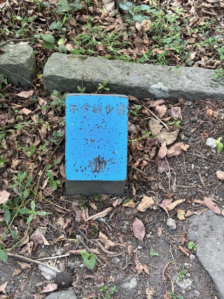 觀音山硬漢嶺 22899095