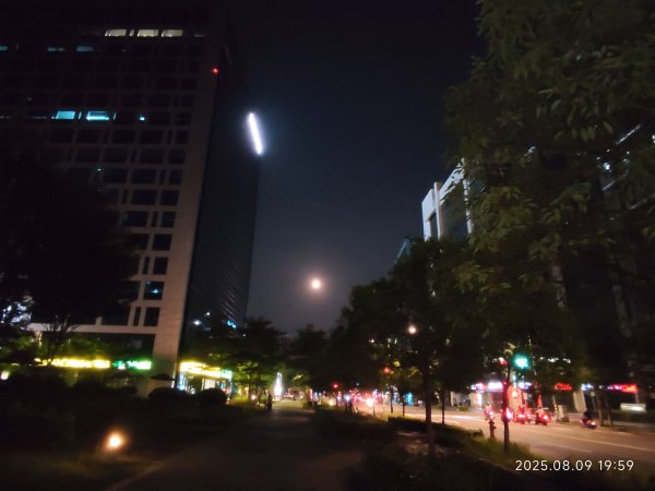 大稻埕 - 迪化街、大港墘公園【臺北健走趣】2855339