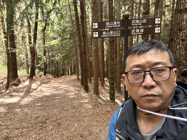 桃山3095909