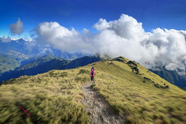 大小劍-油婆蘭全紀錄2674285