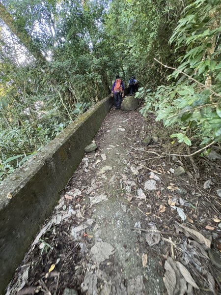 20251123三腳南山登山步道2944449