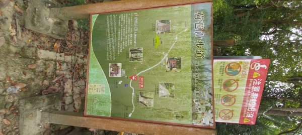 荷苞山登山步道2630695