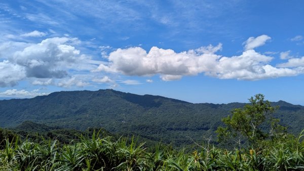 114.06.28內平林山-番子坑山-平湖森林遊樂區之O型2824229