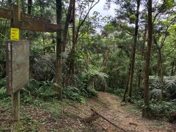 平溪區嶺腳越嶺古道+嶺腳步道+嶺腳石窟大瀑布O型2824090