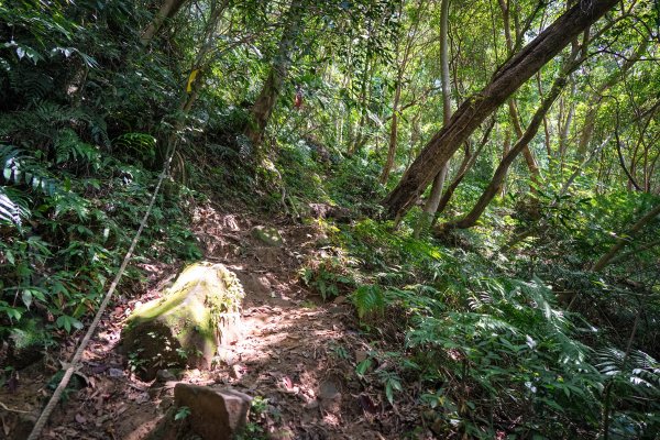 新竹關西鎮 石牛山938211