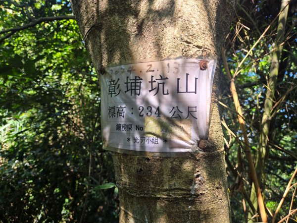鶯歌石步道、孫龍步道O型3130116