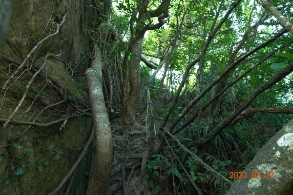 基隆 安樂 大武崙山、三角嶺頭山2268061