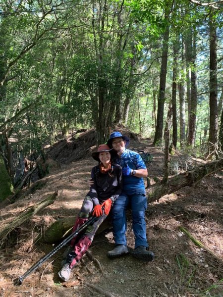 北二段之 甘薯無明2611906