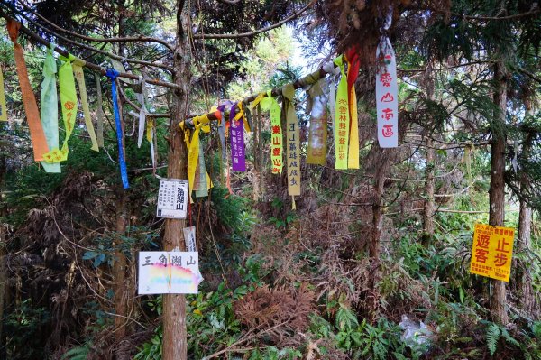 苗栗南庄鄉 向天湖山中記憶裏的海狸碎片1555808