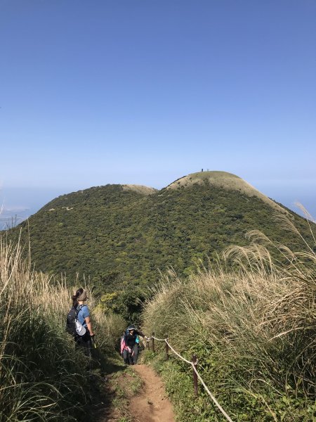 2022.3.12 陽明山縱走 西段 (清天宮-火燒山-向天山-面天山-大屯西峰-大屯南峰-大屯主峰1664469