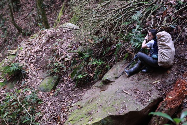 豐山眠月：石夢谷連走水漾千人洞2757774