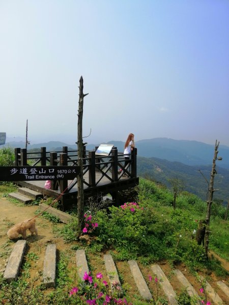 姜子寮山步道&姜子寮絕壁步道549609