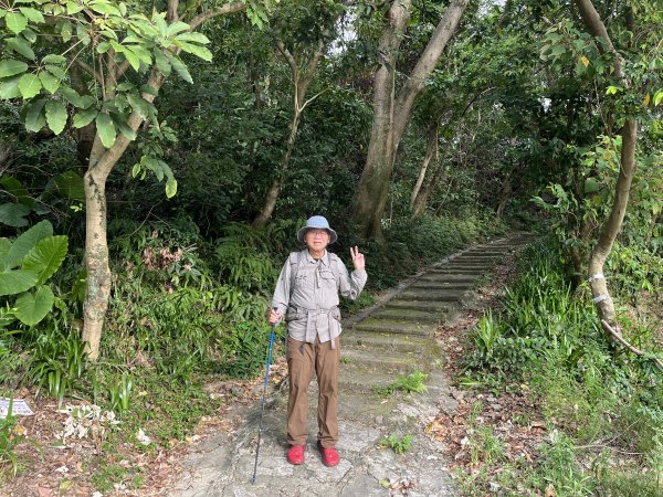 [微笑山線_第五段] 2025_0705 天上山系_國旗嶺2830061