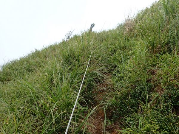 宜蘭 烘爐地山-桶後溪溯源 O型連走157556