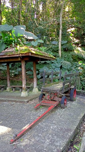 【臺北大縱走 7】貓空站→樟樹、飛龍步道1254298