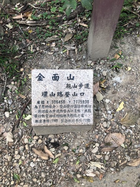 金面山親山步道525551