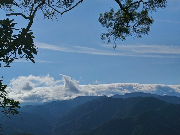 土城四秀O走（天上山小百岳）802483