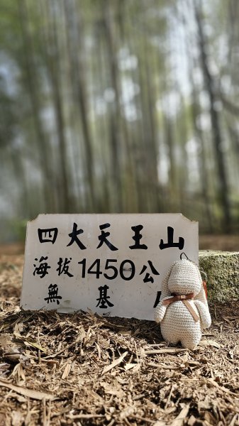 【四大天王山O型縱走未竟之旅：封山中的靜謐與省思】解鎖嘉義竹崎四大天王山、知鳥山。2929890