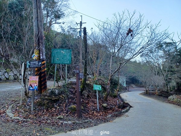 【雲林古坑】舒適宜人。 石壁山連走好望角嘉南雲峰2755241