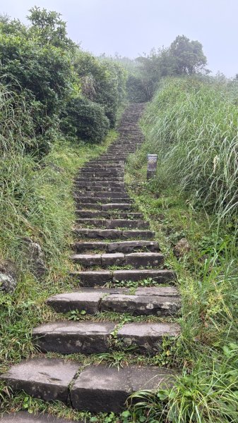 夢幻七星3074412