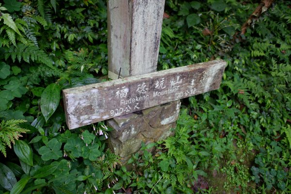 鳶山登山步道2095342