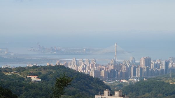 20260125 陽明山前後山健行(無極天元宮~山仔頂步道.向天池.向天山.面天山.二子坪)2997946