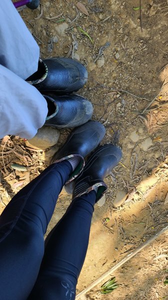 2021-1107 造鎮五城山天上山三粒半永寧1509606