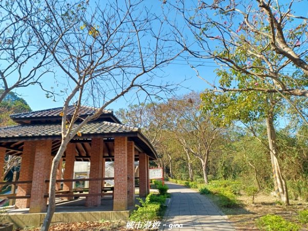 【苗栗】貓貍山公園功維敘隧道2981676