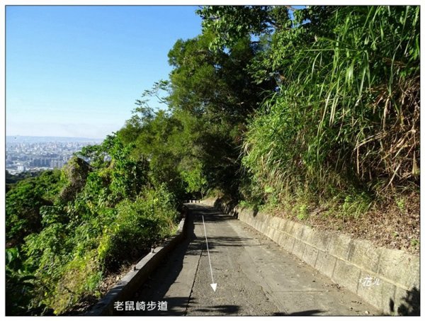 坪林山、三汀山連走 (台中、太平)2022223