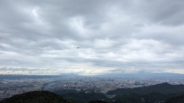 天上山 桐花公園來回2190975