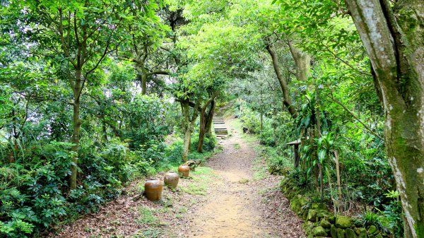 微笑山線405高地段2844154