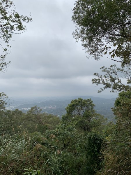 中坑山-飛鳳山1263274